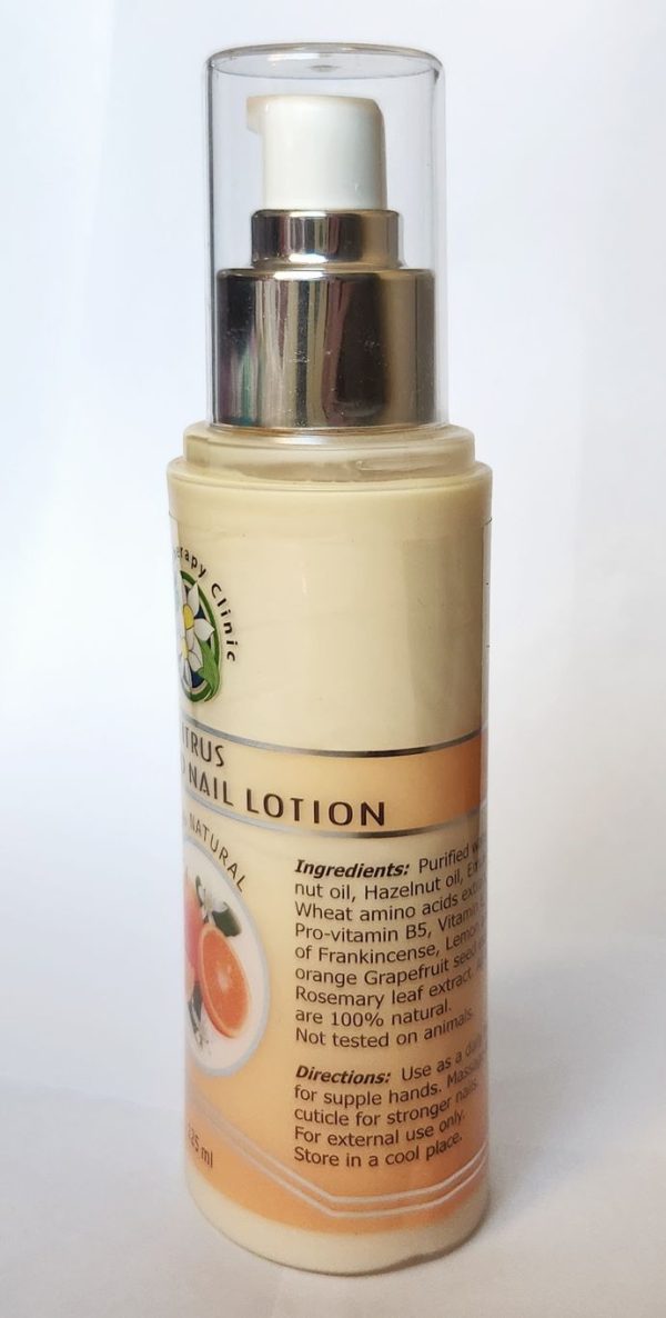 Citrus Hand and Nail Lotion - Image 3