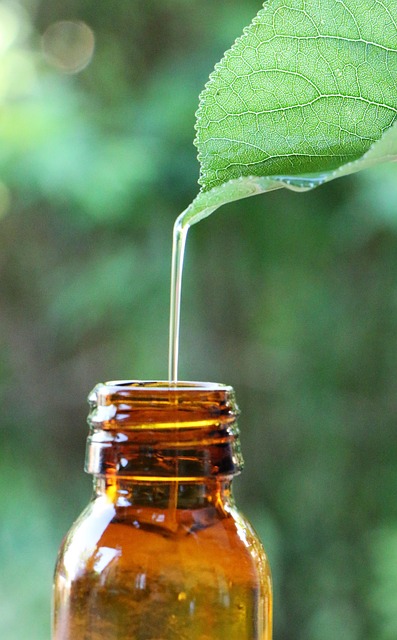Unexpected Ways to Use Eucalyptus Essential Oil